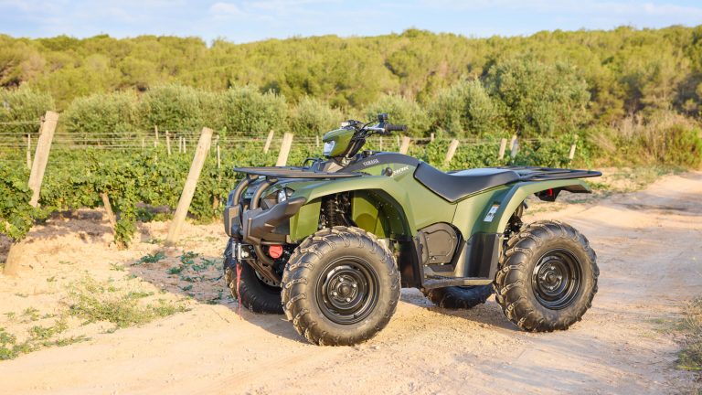 2025-Yamaha-YFM450FWBD-25-EU-Detail-005-03