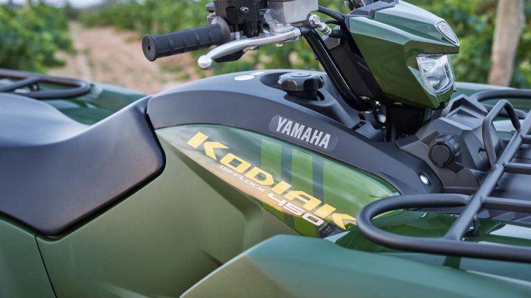 2025-Yamaha-YFM450FWBD-25-EU-Detail-011-03