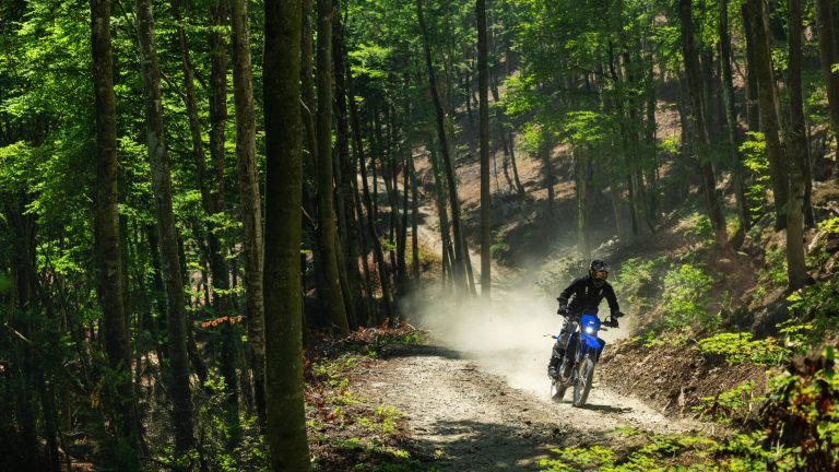 2026-Yamaha-WR125-EU-Icon_Blue-Action-014-03