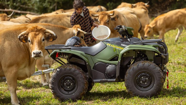 2026-Yamaha-YFM700FWBD-EU-Olive_Green-Static-001-03